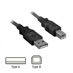 Cable USB para Impresoras 6 Pies